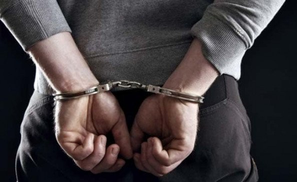 12 गांजे के पौधे के साथ 2 आरोपी गिरफ्तार