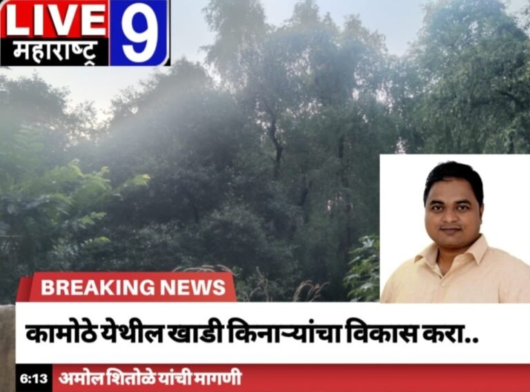 वाशी येथील मिनी सी शोरच्या धर्तीवर कामोठे येथील खाडी किनाऱ्यांचा विकास करा..