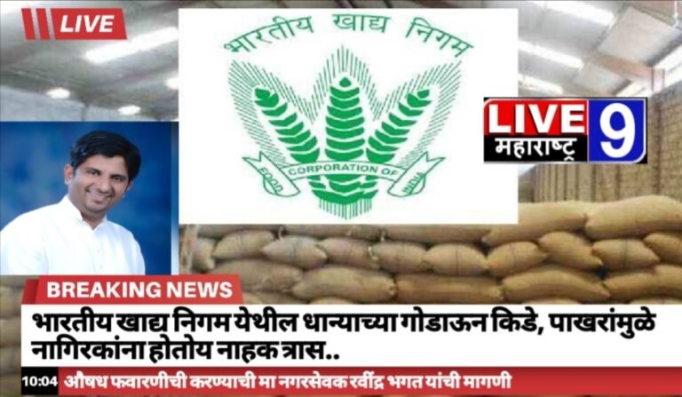 भारतीय खाद्य निगम येथील धान्याच्या गोडाऊन मधून येणाऱ्या किडे, पाखरांमुळे नागिरकांना होतोय नाहक त्रास..